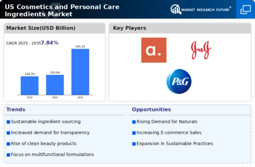 US Cosmetics Personal Care Ingredients Market Infographic