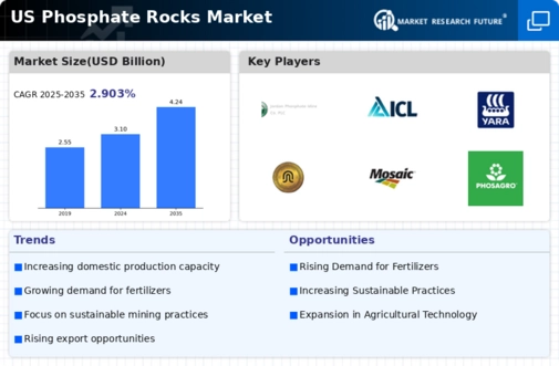 US Phosphate Rocks Market Infographic