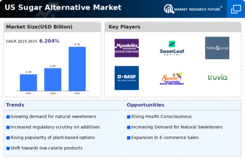 US Sugar Alternative Market Infographic