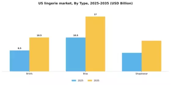US Lingerie Market Segment Image 2