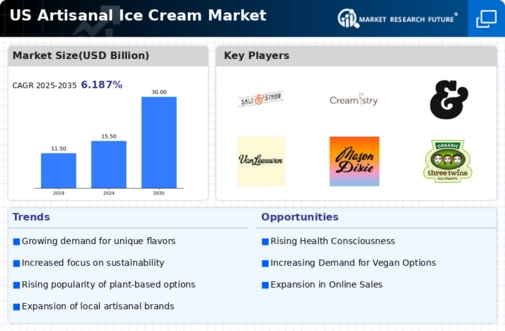 US Artisanal Ice Cream Market Infographic