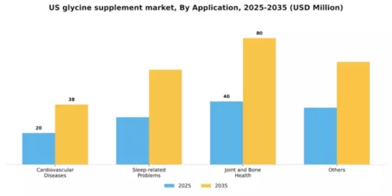 US Glycine Supplement Market Segment Image 0