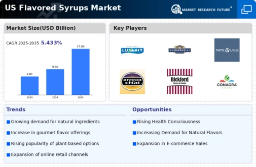 US Flavored Syrups Market Infographic