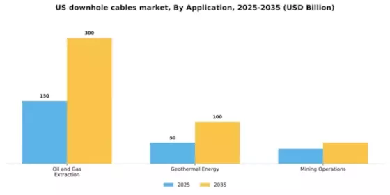 US Downhole Cables Market Segment Image 0