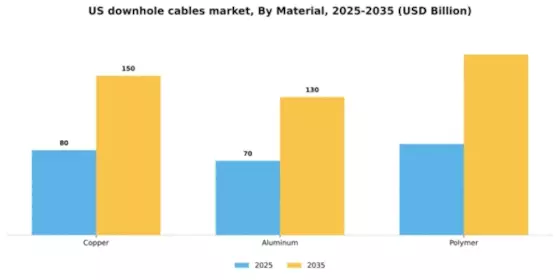 US Downhole Cables Market Segment Image 2