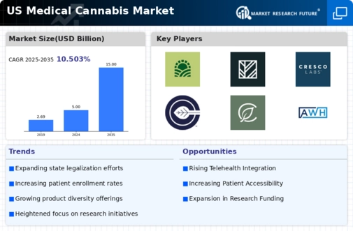 US Medical Cannabis Market Infographic