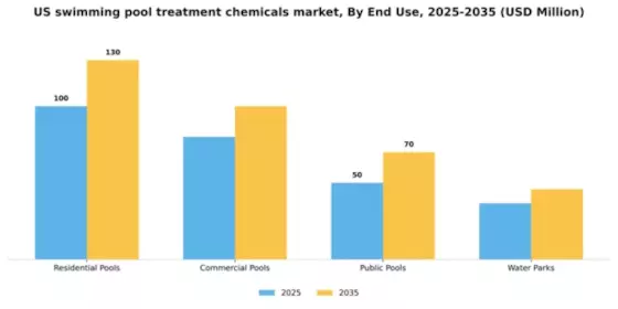 US Swimming Pool Treatment Chemicals Market Segment Image 1