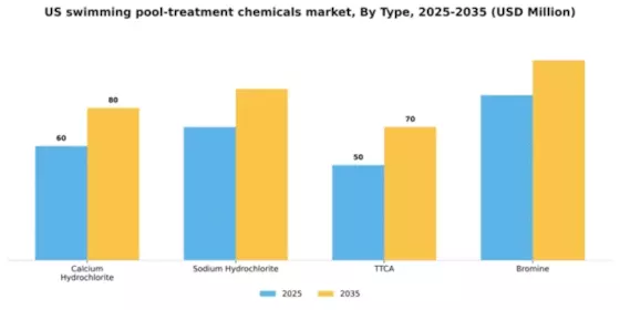 US Swimming Pool Treatment Chemicals Market Segment Image 1