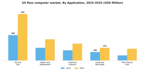 US Flow Computer Market Segment Image 0