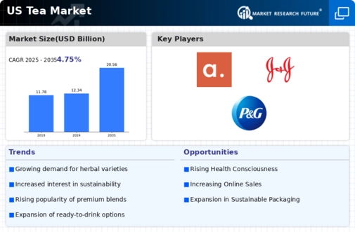 US Triangle Tea Bag Packaging Machinery Market Infographic