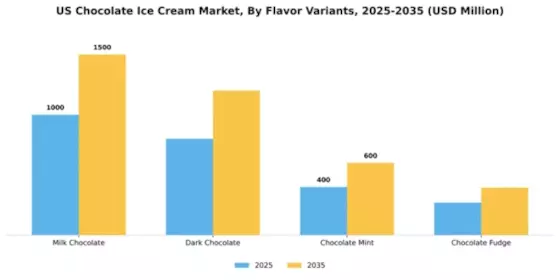 US Chocolate Ice Cream Market Segment Image 1