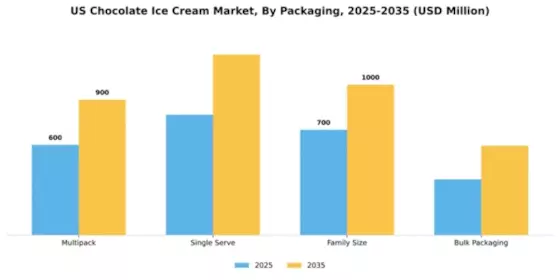 US Chocolate Ice Cream Market Segment Image 2