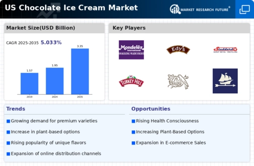 US Chocolate Ice Cream Market Infographic