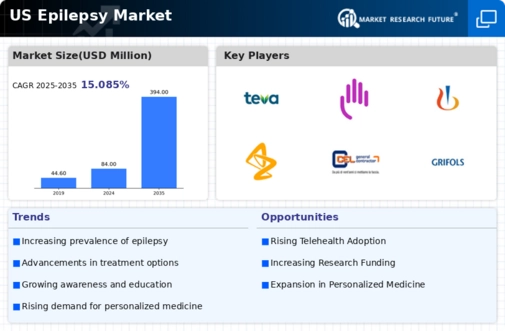 US Epilepsy Market Infographic