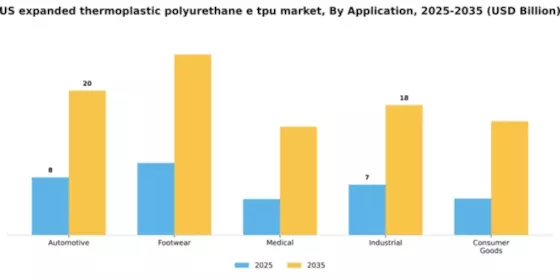 US Expanded Thermoplastic Polyurethane (E-TPU) Market Segment Image 0