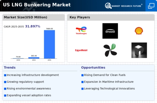 US LNG Bunkering Market Infographic