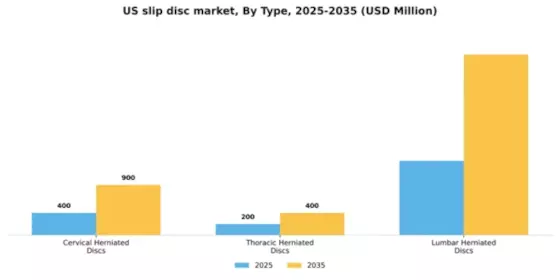 US Slip Disc Market Segment Image 2