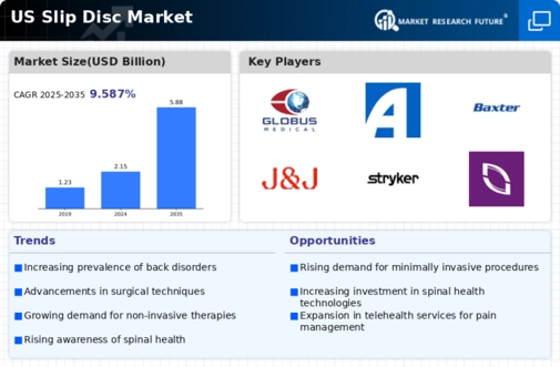 US Slip Disc Market Infographic