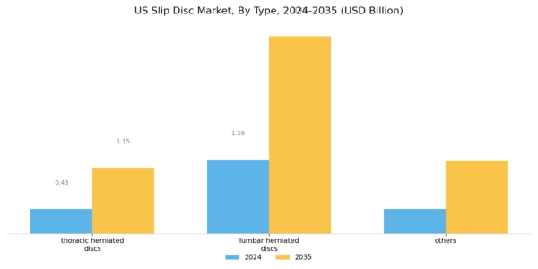 US Slip Disc Market Segment Image 0