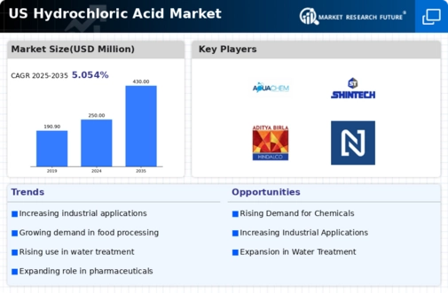 US Hydrochloric Acid Electrolysis Market Infographic