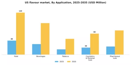US Flavour Market Segment Image 0