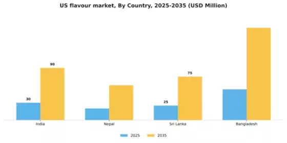US Flavour Market Segment Image 1