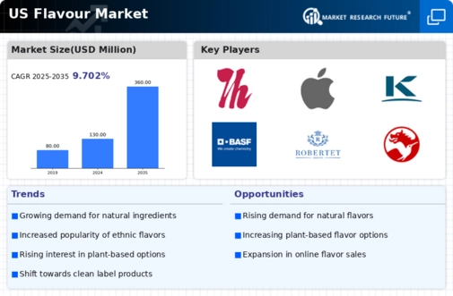 US Flavour Market Infographic