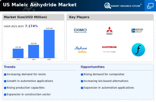 US Maleic Anhydride Market Infographic