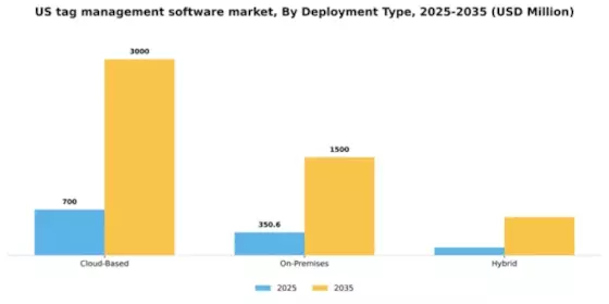 US Tag Management Software Market Segment Image 1