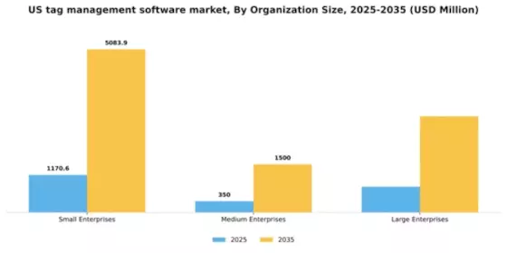 US Tag Management Software Market Segment Image 3