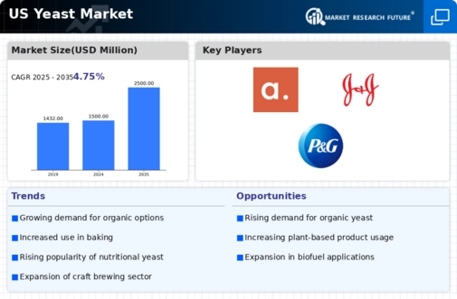 US Yeast Market Infographic