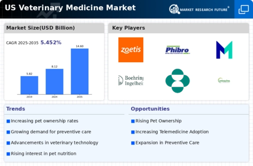 US Veterinary Medicine Market Infographic