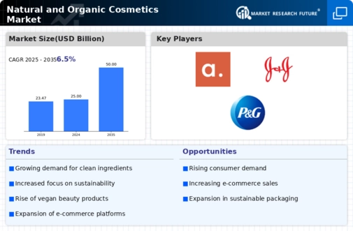 US Cosmetic Products Market Infographic