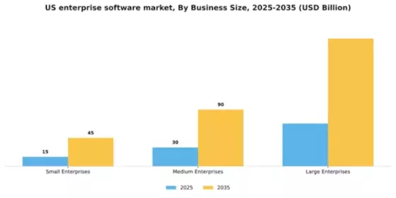 US Enterprise Software Market Segment Image 1