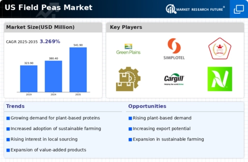US Field Peas Market Infographic
