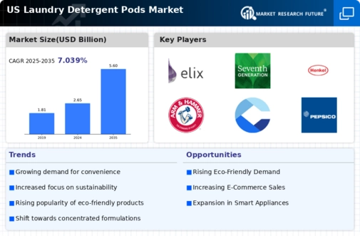 US Laundry Detergent Pods Market Infographic