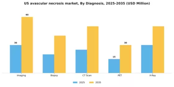 US Avascular Necrosis Market Segment Image 0