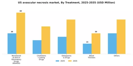 US Avascular Necrosis Market Segment Image 2