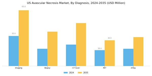 US Avascular Necrosis Market Segment Image 2