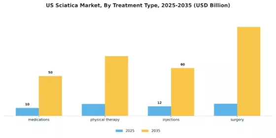 US Sciatica Market Segment Image 0