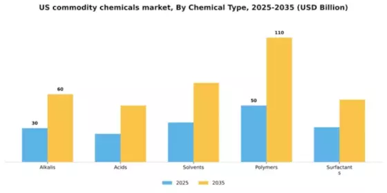 US Commodity Chemicals Market Segment Image 1