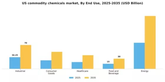 US Commodity Chemicals Market Segment Image 2
