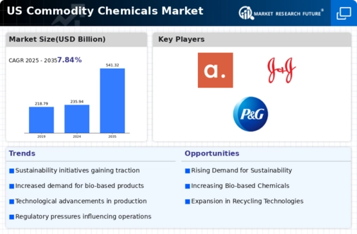 US Commodity Chemicals Market Infographic