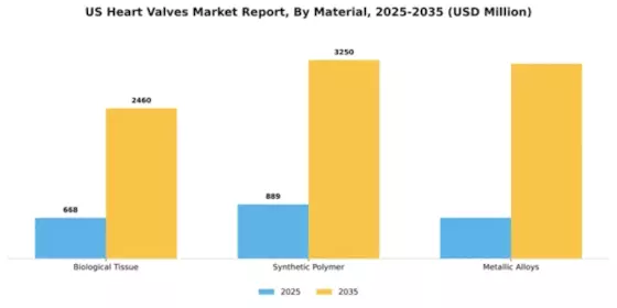 US Heart Valves Market Segment Image 2