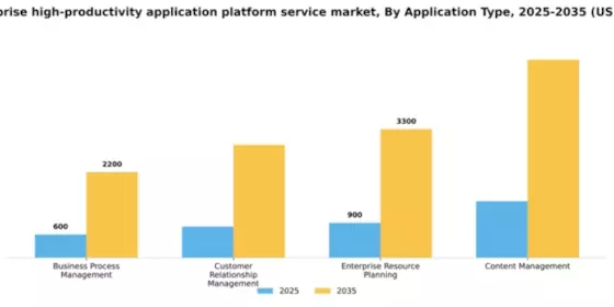US Enterprise High Productivity Application Platform Service Market Segment Image 0