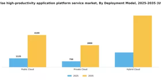 US Enterprise High Productivity Application Platform Service Market Segment Image 1