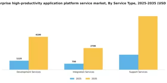 US Enterprise High Productivity Application Platform Service Market Segment Image 3