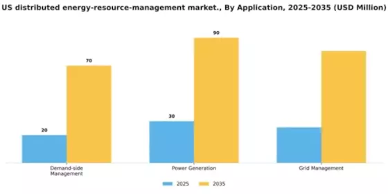 US Distributed Energy Resource Management Market Segment Image 0