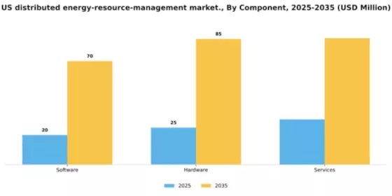 US Distributed Energy Resource Management Market Segment Image 1