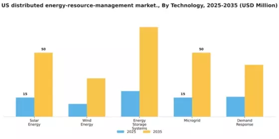 US Distributed Energy Resource Management Market Segment Image 3